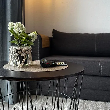 Helles City-apartment Mit Tiefgarage & Wlan - In Zentraler Lage In Daire Osnabrück